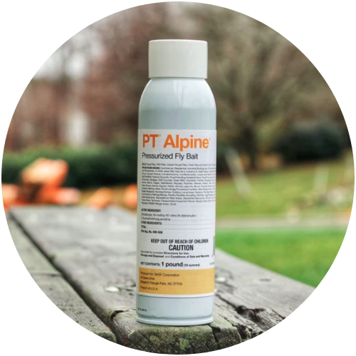 PT Alpine
